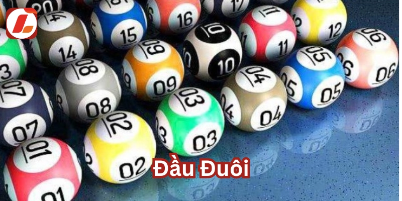 Đầu đuôi hoạt động ra sao?